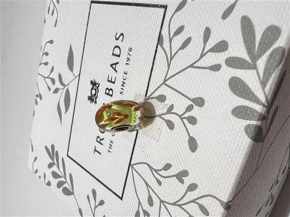 Charm Trollbeads in Argento UNICO6 - UNICO6